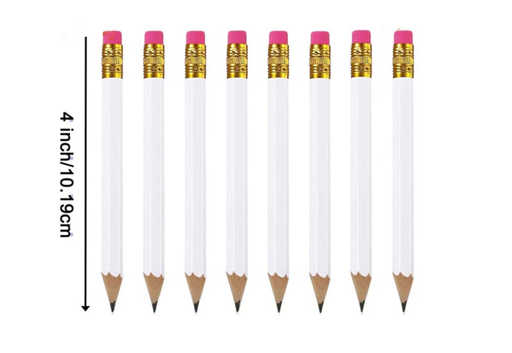 Small Pocket HB Pencils