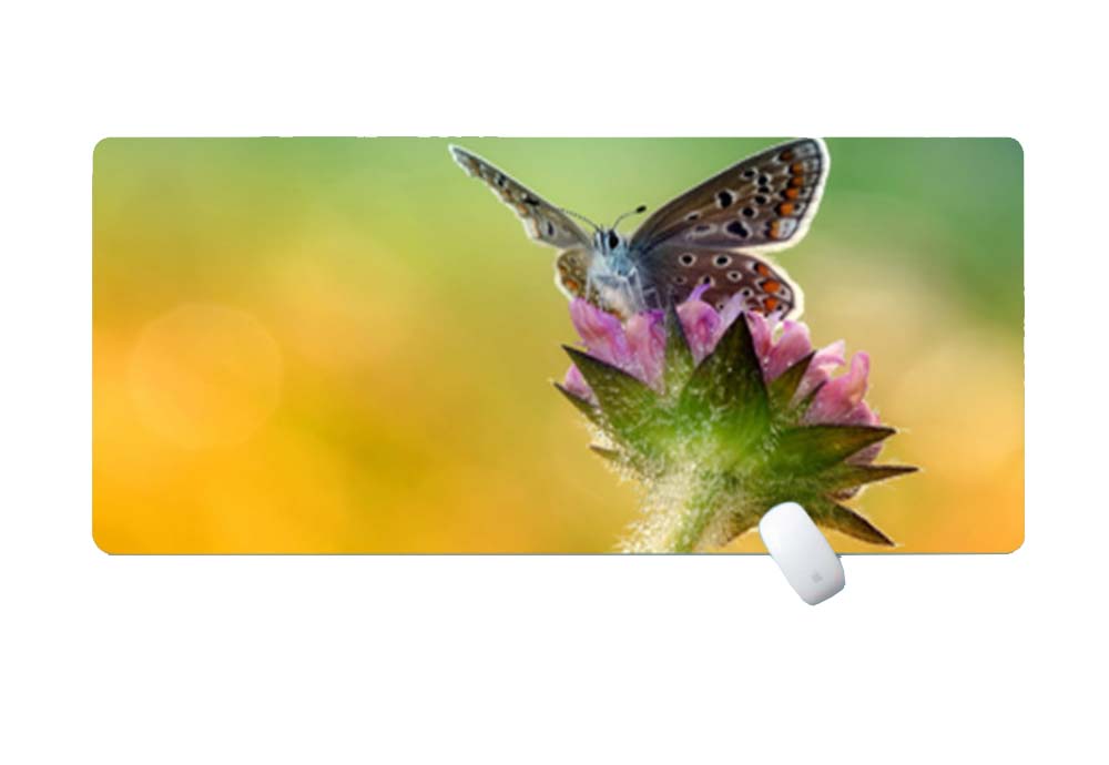 Hot Selling Large Nature Background Mouse Pad