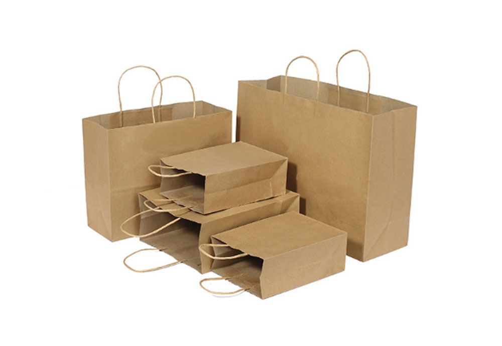 Recycled Twisted Handle Paper Bags 