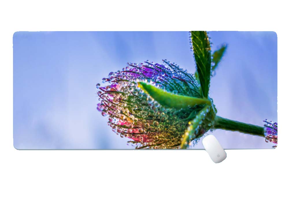Hot Selling Large Nature Background Mouse Pad