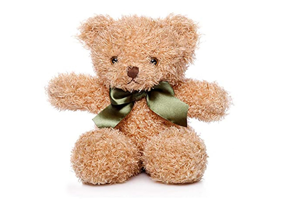 Bear Plush Toy