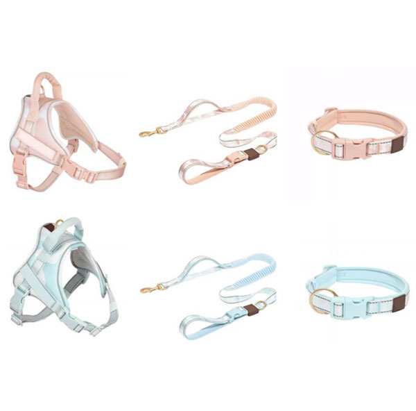 Pet Leash