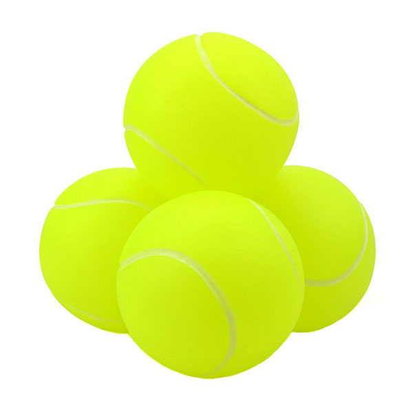 Pet ball toys